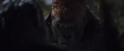 What did the Colonel promise you? - War for the Planet of the Apes