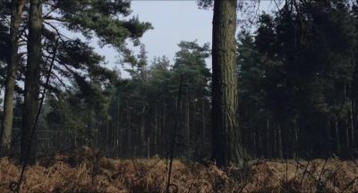 What did they train you for Cooking - Biggles: Adventures in Time