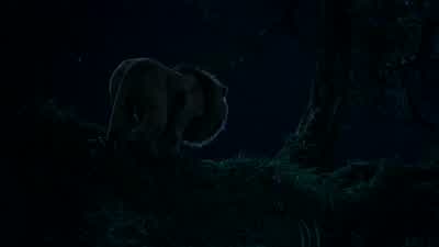 What did you say to him? - The Lion King