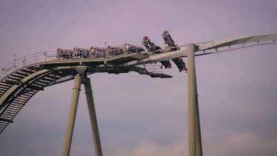 What do a mandrill and a demon
look like on a roller coaster? - Sexy Beasts