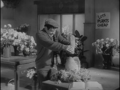 What do you call that salad - The Little Shop of Horrors