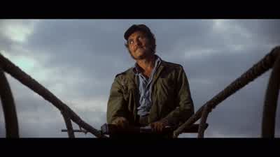 What do we do now? - Jaws