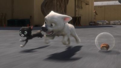What do we do - Bolt