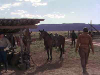 What do you do with it? - Pony Express