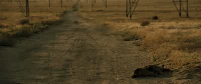 What do you got? - Se7en