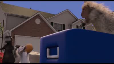 Leave it Ahh what do we have hereDidelphis marsupialis virginiananis approximately 10 pounds maleI think he's dead O really do you in fact have an associate's degree from VermtechI think he wants you to think he's dead - Over the Hedge