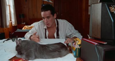 What do you know You're not a man You're a cat - One Crazy Summer
