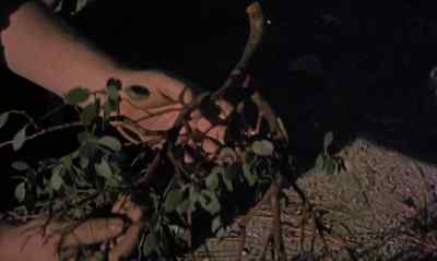 What do you make of this? - Journey to the Seventh Planet