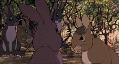 What you do now? - Watership Down
