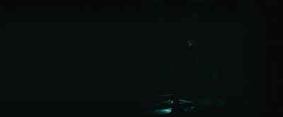 What do you see? - The Rental
