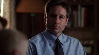 What do you see?
What do you see? - The X-Files