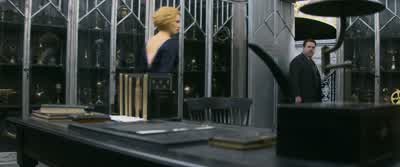 Mr. Scamander! Don't panic. What do you suggest I do instead? - Fantastic Beasts and Where to Find Them