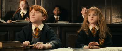 What do they think they're doing? - Harry Potter and the Philosopher's Stone
