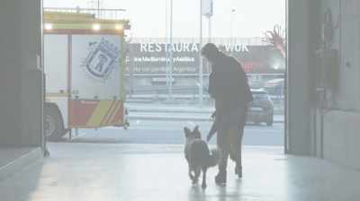 What do you think about that?
Can we have a pact? - The Human Voice