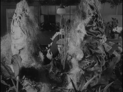 What do you think I'm carrying here - The Little Shop of Horrors