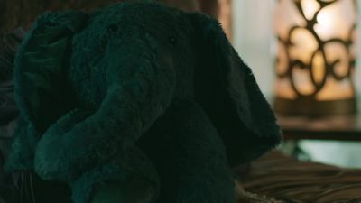 What do you think, Mr. Wrinkles? - Legacies