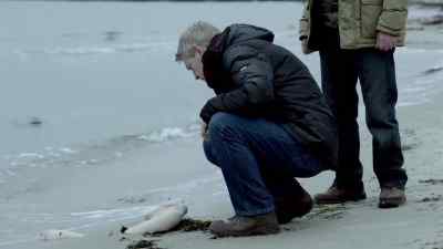 What do you think? - Wallander