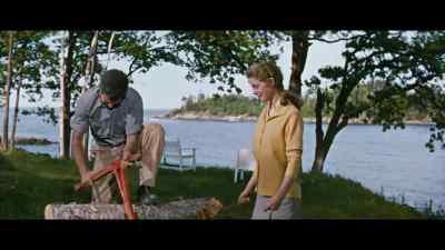 What do you think - Peyton Place