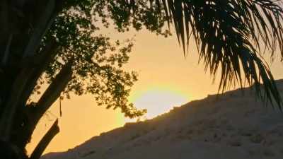 What do you think it was
specifically about - Tutankhamun: Secrets of the Tomb