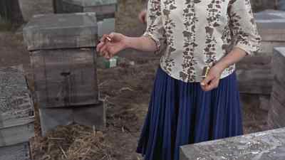 - What do you think you're doing?
- Leave me alone! - The Deadly Bees