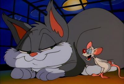 What do you want to do tonight Rita - Animaniacs