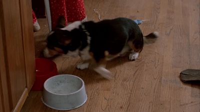 What do you want from me - Don't Tell Mom the Babysitter's Dead