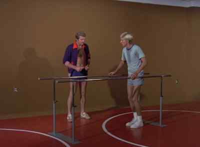 What do you want? - The Six Million Dollar Man