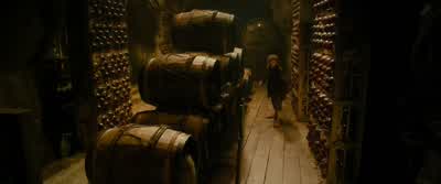 What do we do now? - The Hobbit: The Desolation of Smaug