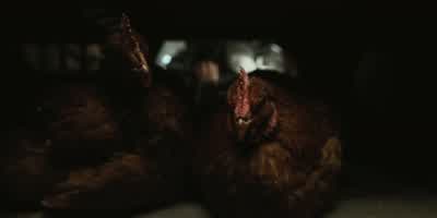 What do we got here? - Halo