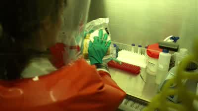 What do we got? - Contagion
