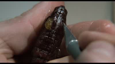 What do you do when you're not detecting, Agent Starling? - The Silence of the Lambs
