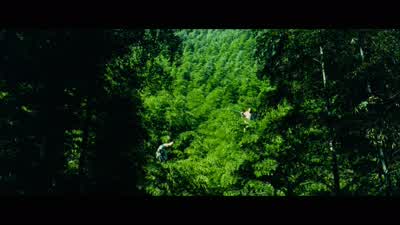 What do you know about a true heart? - Crouching Tiger, Hidden Dragon