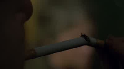 What do you mean? - The Walking Dead