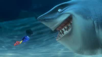 - What do you say? - Finding Nemo
