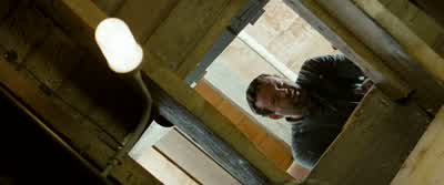 What do you think about all this? - Into the Wild