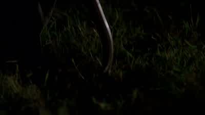 What do you think it is? - Lost