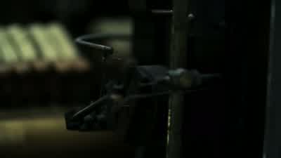 What do you think of the guests? - Westworld