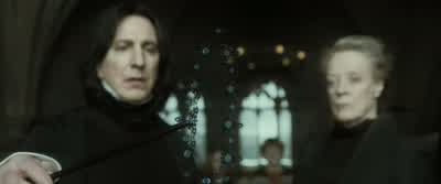 What do you think? - Harry Potter and the Half Blood Prince