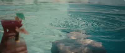 What do you think? - Killer Whale