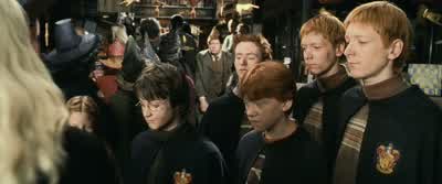 What do you two think you're doing?- Sorry. - Harry Potter and the Chamber of Secrets