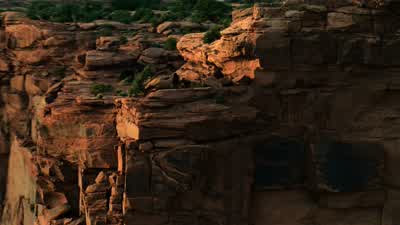 What do you want? - Westworld