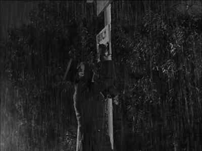 - What does it say?
- Well, I can't tell. It's in German. - I Was a Male War Bride