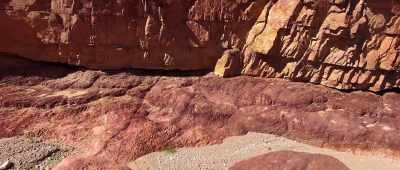 What does that tell you as paleontologists? - Is Genesis History?