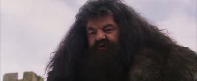 What that dog is guarding isbetween Dumbledore and Nicholas Flamel. - Harry Potter and the Philosopher's Stone
