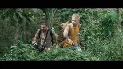 - What?
- Don't you hear it? - Virgin Forest
