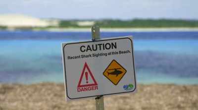 What they don't know is
that 11 days earlier, - Shark Attack Files