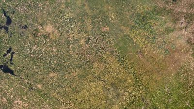 What we eat, and how we produce it, - Our Planet