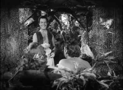 What else did he write? - Tarzan and the Mermaids