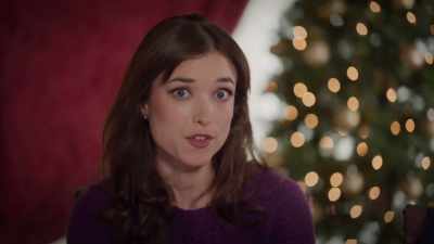 What exactly was this killer
offer you were fighting about? - The Case of the Christmas Diamond