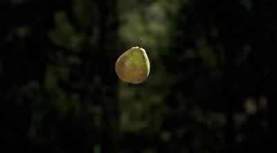 What figure did you have
in your head, peddler? - Legend of the Seeker